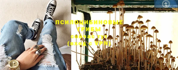 каннабис Абаза