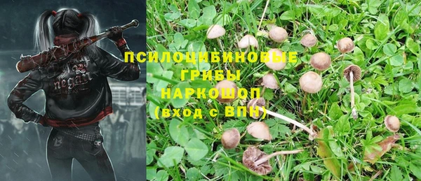 соль ск Абдулино