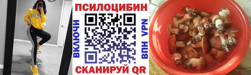 закладка  Шахунья  Галлюциногенные грибы мицелий 